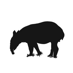 Tapir silhouette icon illustration on no background