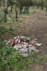 Abandoned construction waste in the forest, environmental pollution.
