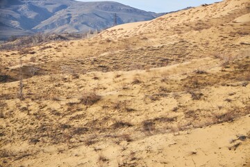Sarykum dune, the largest sand dune in Europe.. A dry barren desert landscape with rare plants scattered everywhere. The sky is clear and the sun is shining brightly