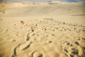 A sandy beach with footprints in the sand.