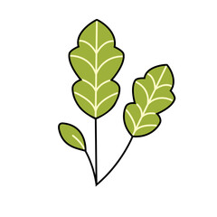 Flat design autumn leaves