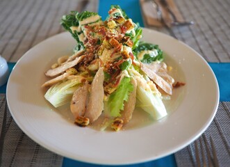 A fresh salad with sliced chicken, crisp lettuce, nuts, and a drizzle of dressing served on a white plate.