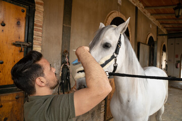 Man in front of a white horse brushing the hair on his head. Exterior of a horse stable. Horsemanship care concept