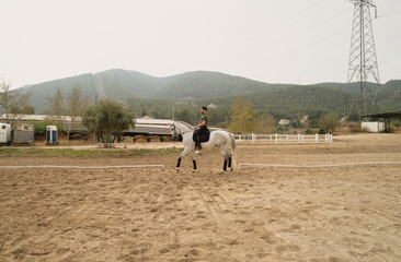 General shot of the profile of a rider on horseback in a training arena of an equestrian centre. Concept equestrian centre