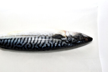 Mackerel fish is lying on the table.