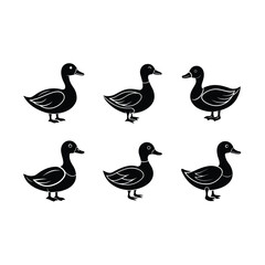 goose on white background, instant Digital Download. Illustration for prints on bags, posters