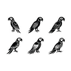 Obraz premium parrot on white background, instant Digital Download. Illustration for prints on bags, posters