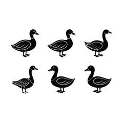 Duck vector on white background, instant Digital Download. Illustration for prints on bags, posters