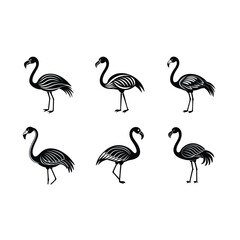 Obraz premium flamingo on white background, instant Digital Download. Illustration for prints on bags, posters