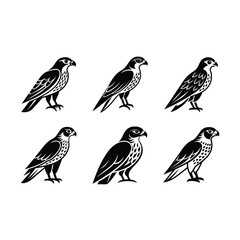 Fototapeta premium falcon on white background, instant Digital Download. Illustration for prints on bags, posters