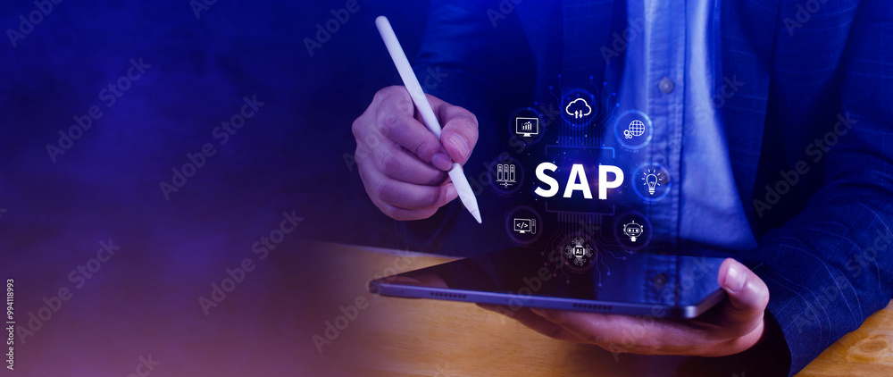 Wall mural sap system concept, sap system application products, business process automation and management soft