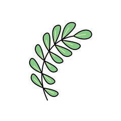 Flat design leaves