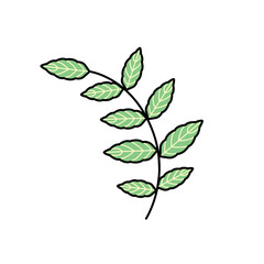 Flat design leaves