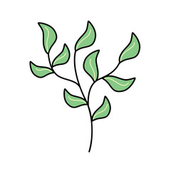 Flat design leaves