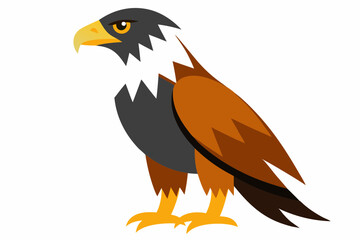Fototapeta premium Beautiful high-resolution vector illustration of Pallas's Fish Eagle