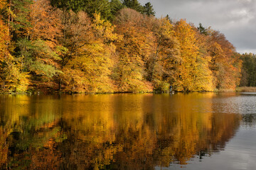 Herbstlicher Wald mit buntem Laub und Spiegelung in ruhigem See