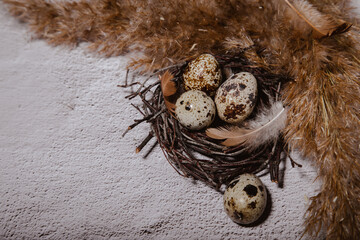 quail eggs and feathers on a light background with dried flowers