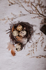 top view of quail eggs in the nest among the branches