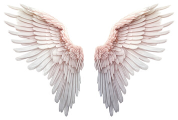 PNG Angel wing bird white background.