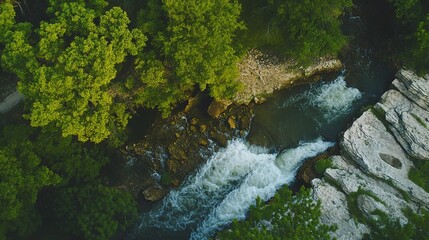Obraz premium Aerial view of a winding river flowing through lush green trees near rocky banks on a sunny day