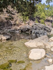 rocky stream with pine trees in the background