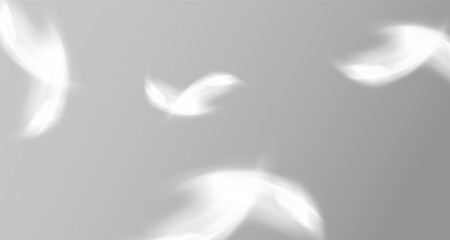 Glare from the sun's rays on the wall. Blurred shadows in the room. Soft overlay of natural light. Abstract background for product presentation.Natural light layout.