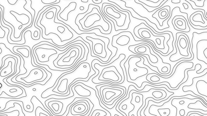 Topographic map background geographic line map with elevation assignments. 