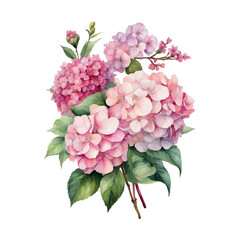 Obraz premium Watercolor Vector of a hydrangea flower with leaves isolated on a white background