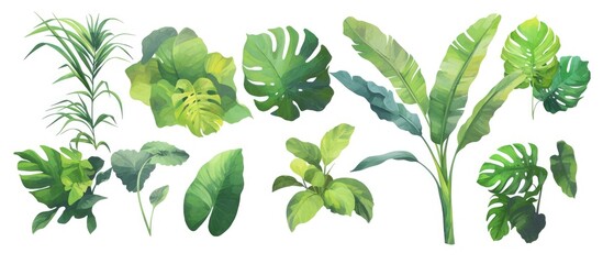 Painting of a collection of tropical leaves isolated on a white background featuring exotic foliage