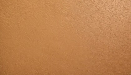 Supple Tan Leather Texture Surface
