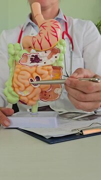 Doctor with digestive system in clinic