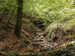 Little Switzerland - Mullerthal (Luxembourg)