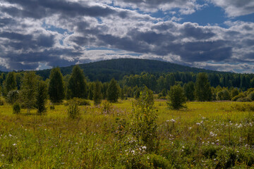 Bright Autumn landscape meadow and forest in the background against the backdrop of a beautiful blue sky and white clouds.