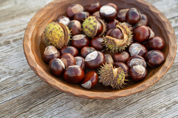 Autumn Chestnuts