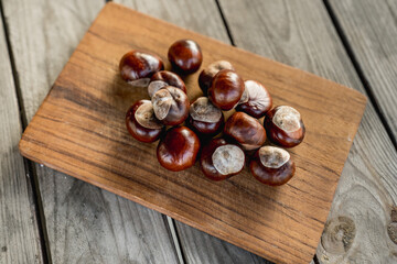 Autumn Chestnuts