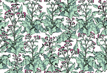 Big blooming burdock. Vector drawing