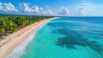 Obraz premium Aerial view of tropical beach with turquoise water and palm trees
