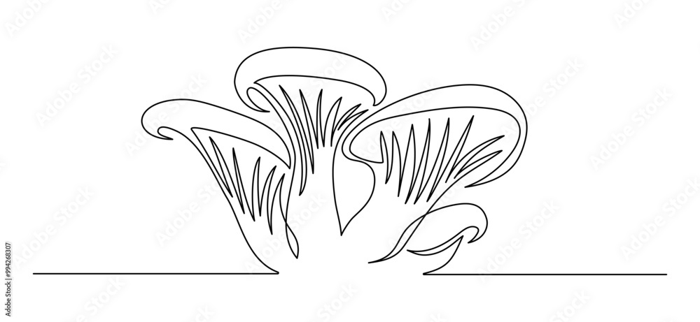 Poster oyster mushrooms in one continuous line drawing. organic pleurotus in simple linear style. forest wo