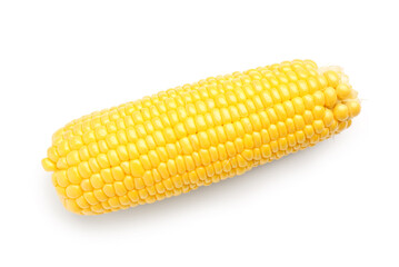 Fresh corn cob on white background