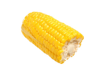 Cut fresh corn cob on white background