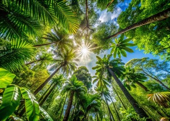 Lush Spiny Forest Canopy with Unique Flora and Fauna in a Tropical Ecosystem Under Bright Sunlight