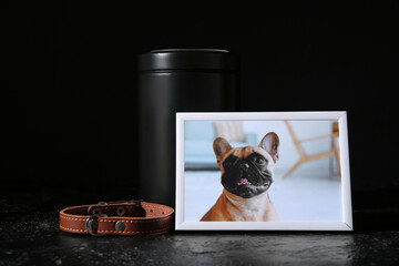 Frame with picture of dog, collar and mortuary urn on dark background. Pet funeral