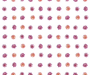 Floral seamless pattern isolated watercolor flowers hand drawn drawing white background.
