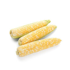 Fresh corn cobs on white background