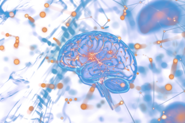 PNG Brain showing neurons firing neural visualization intelligence.