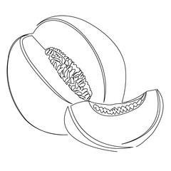 One continuous single drawing line art flat doodle food, illustration, melon, fruit, slice, vitamin. Isolated image hand draw contour on a white background
