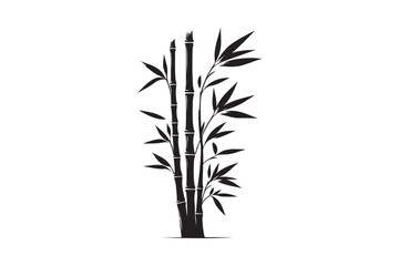 Bamboo  silhouette vector illustration, Elegant Bamboo Silhouettes vector.