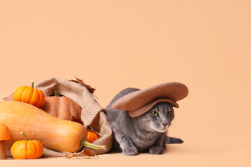 Cute cat in beret with pumpkins, mushrooms and leaves on beige background. Thanksgiving Day celebration