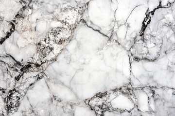 Beautiful Black & White Marble Surface. Marble Texture. Background.