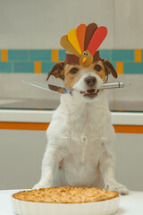 Dog in paper crown of Thanksgiving turkey holding a spatula to get a piece of apple pie.